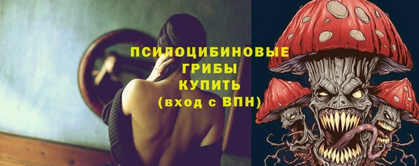 тгк Алзамай