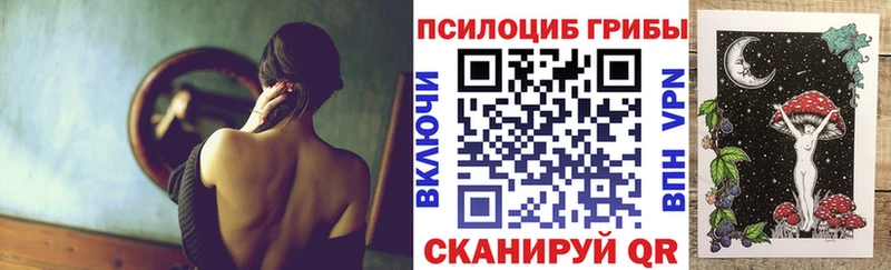 дарк нет телеграм Бирюч Галлюциногенные грибы мицелий